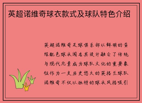 英超诺维奇球衣款式及球队特色介绍
